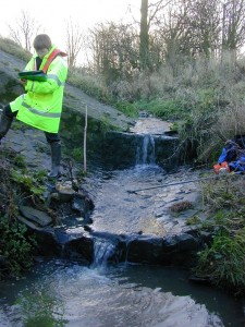 White clawed crayfish surveying