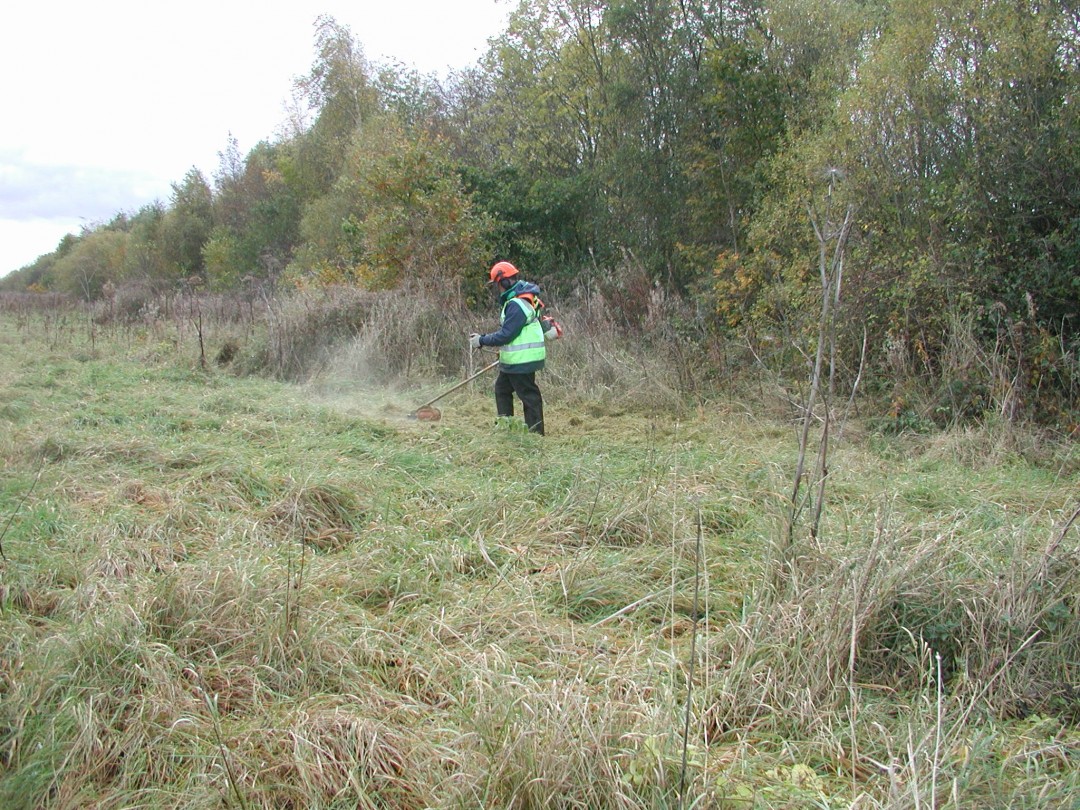 C Habitat Management Barrett Environmental Ltd